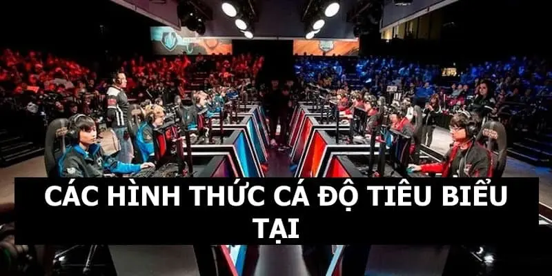 Những hình thức cá độ thường thấy tại sảnh thể thao điện tử IA