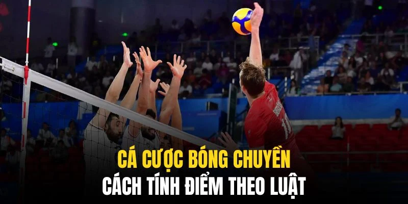 Đây là quy định áp dụng chung cho các trận đấu toàn cầu